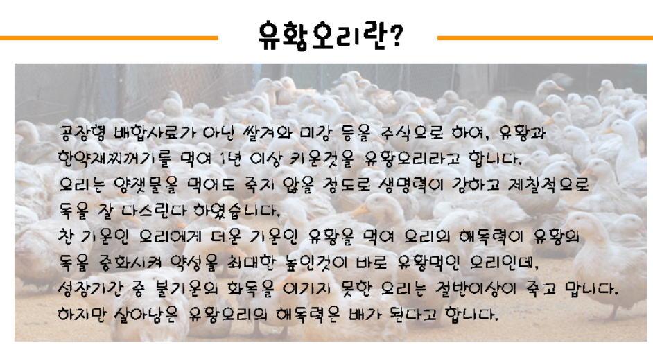 0c96fe6b677d416d1295c8eca10a3aed_1747801314_7357.png